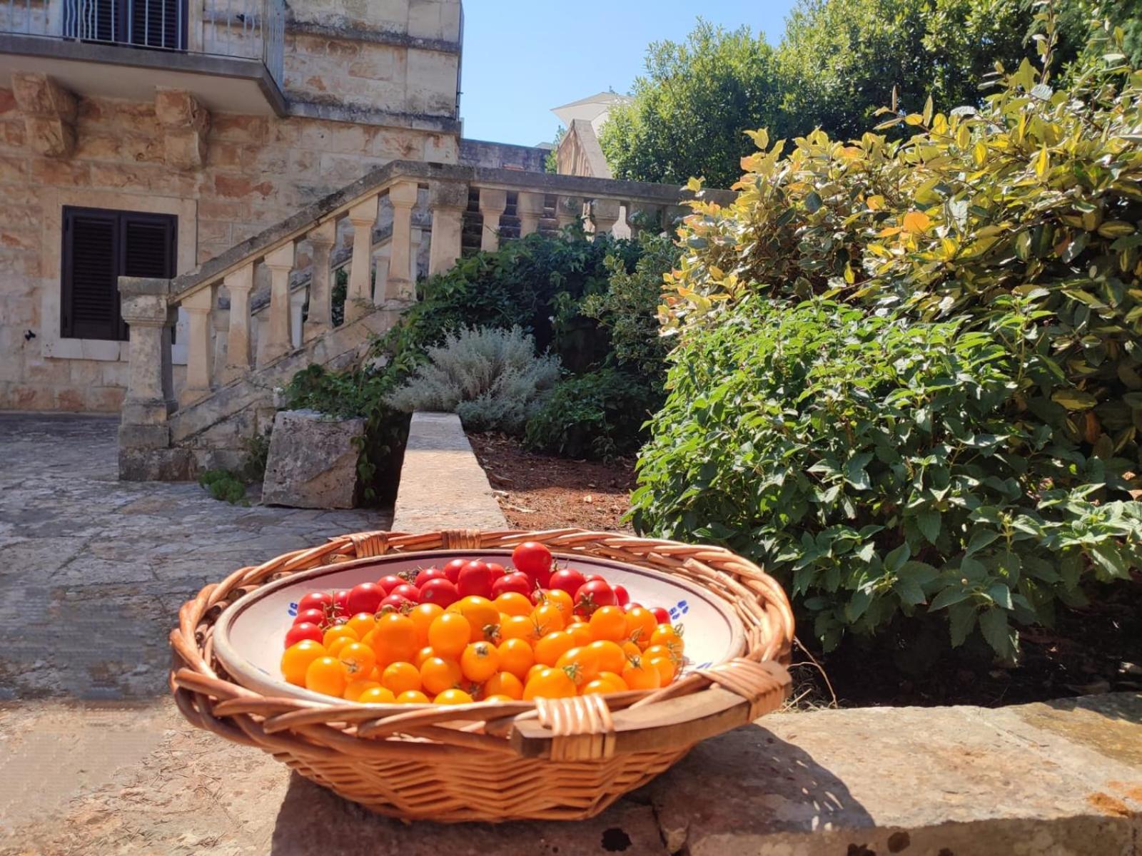 Villa Ostuni Monopoli Extérieur photo