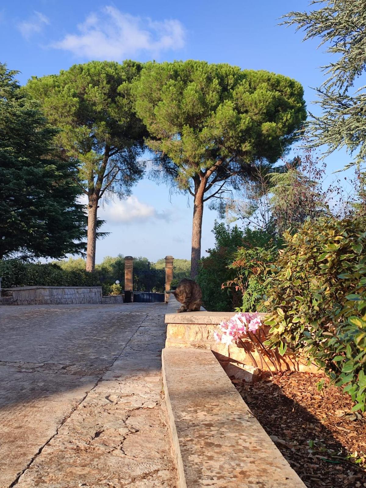 Villa Ostuni Monopoli Extérieur photo